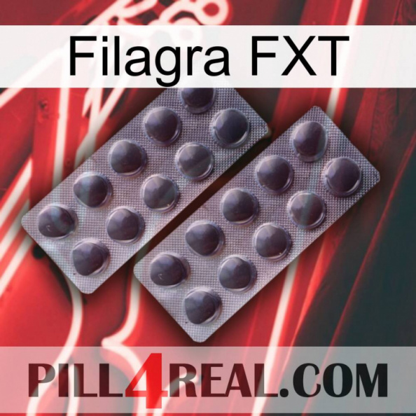 Filagra FXT 31.jpg